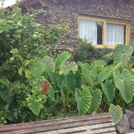 펜션 Ecolodge Tenerife Genovés