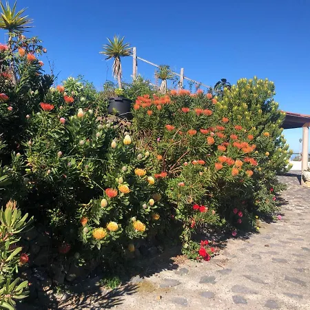 Ecolodge Tenerife * Genovés